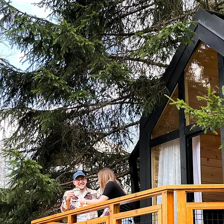 Kuca Na Drvetu - Zlatar Hill - Treehouse * Nova Varos