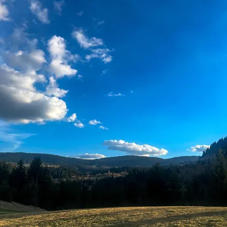 Holiday home Kuca Na Drvetu - Zlatar Hill - Treehouse Nova Varos