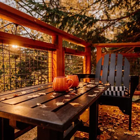 Дом отдыха Kuca Na Drvetu - Zlatar Hill - Treehouse